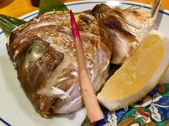盐烤鲷鱼头-鮨清日本料理