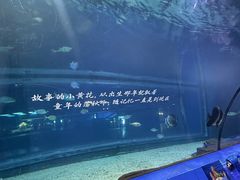 -重庆欢乐海底世界
