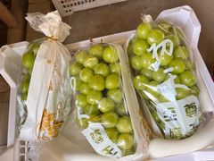 -马陆小张葡萄园农家乐