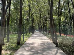 -南国桃园旅游度假区