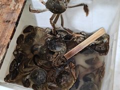 -芸海阁·农家私房菜(沙家浜景区出口店)