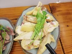 -九斤黄三黄鸡专卖店