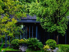 -云溪植物园