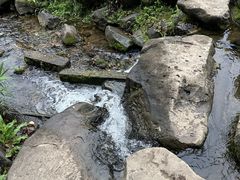 -中国茶叶博物馆(双峰馆区)