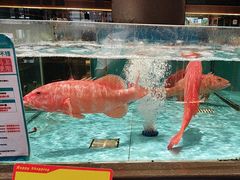 -阿伟海鲜楼·福建菜(延寿店)