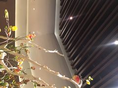 -枕水江南(铁西万象汇店)