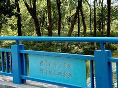 -青枫公园