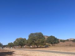 -五角枫生态旅游景区