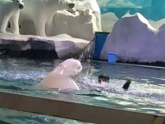 -秦皇岛乐岛海洋王国