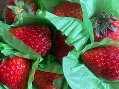 -百果园PAGODA(中铭豪园店)