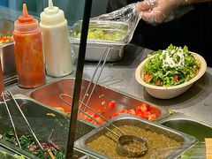 -油梨树AVOCADO TREE(顺义新国展店)