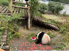 -黔灵山公园