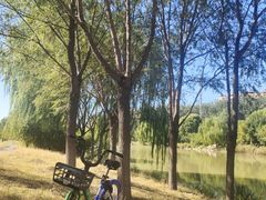 -马家湾湿地公园