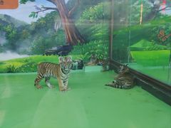 -栾川竹海野生动物园