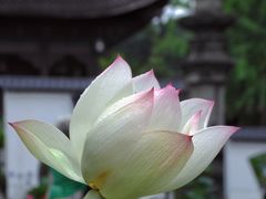 -钱王祠