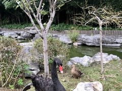 -扬州瘦西湖温泉