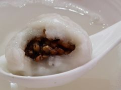 -海丝金凤(金鱼店)