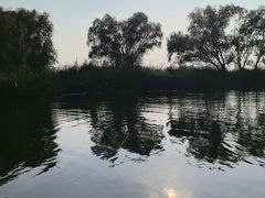 -白洋淀景区