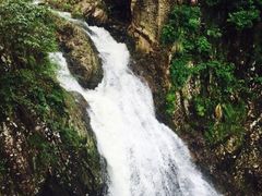 龙湾潭国家森林公园-龙湾潭国家森林公园