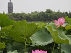 -西海子公园