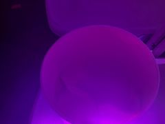 -大连体育中心体育馆