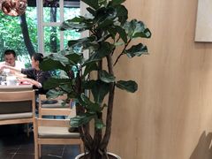 -鹿港小镇(黄金店)