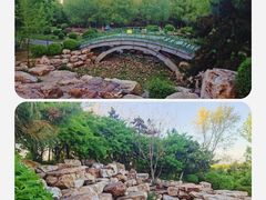 -莫子山公园