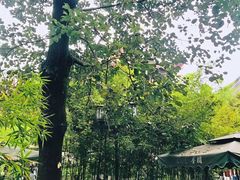 -香园自助小火锅