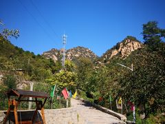 -大岭沟猕猴桃谷风景区