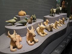 -广西壮族自治区博物馆