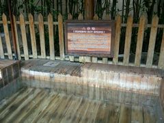 -金孔雀温泉旅游度假村