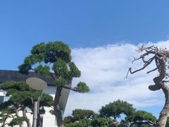 -罗红摄影艺术馆