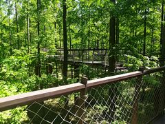 -黄海国家森林公园