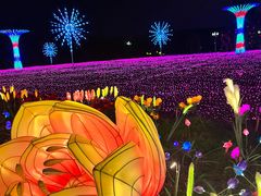 -国际非物质文化遗产博览园