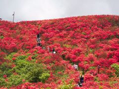 -大围山国家森林公园