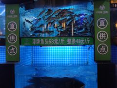 -千岛湖小鱼儿·淳安匠心农家菜