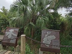 -中澳友谊花园