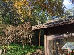 -麦当劳(杭州萧山文源店)