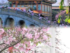 -宝墨园景区