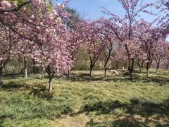 -黄河小浪底水利枢纽风景区