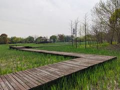 -梁鸿国家湿地公园