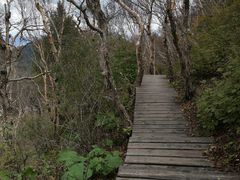 -白草畔自然风景区