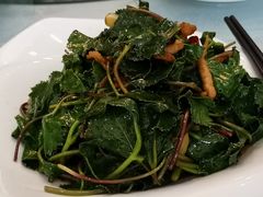 沙参-金德酒楼(沧口路店)