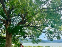 -东钱湖旅游度假区