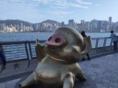 -星光大道