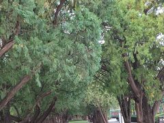 -北京市劳动人民文化宫(太庙)
