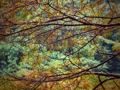 -宁波五龙潭景区