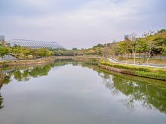 -深圳人才公园