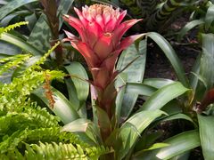 -北京植物园-展览温室