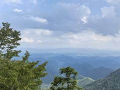 -天目山大树王景区